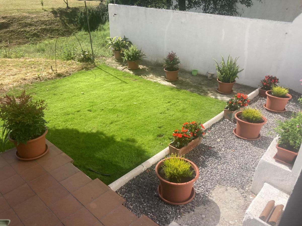 Apartamento Con Jardin En El Antiguo
